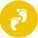 组织架构